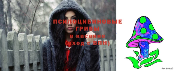 эйфоретик Баксан
