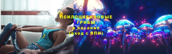 эйфоретик Баксан