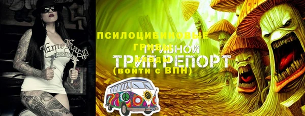 эйфоретик Баксан